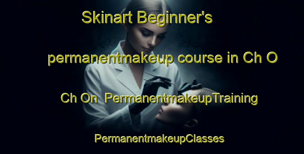 Skinart Beginner's permanentmakeup course in Ch O Ch On | #PermanentmakeupTraining #PermanentmakeupClasses #SkinartTraining-Korea