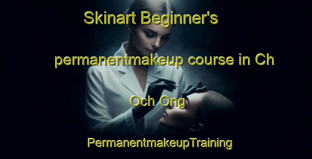 Skinart Beginner's permanentmakeup course in Ch Och Ong | PermanentmakeupTraining | PermanentmakeupClasses | SkinartTraining-Korea