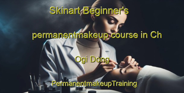 Skinart Beginner's permanentmakeup course in Ch Ogi Dong | PermanentmakeupTraining | PermanentmakeupClasses | SkinartTraining-Korea