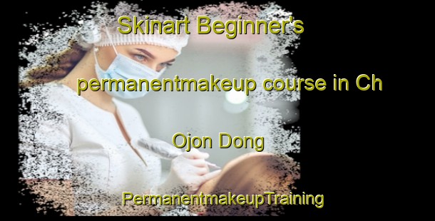 Skinart Beginner's permanentmakeup course in Ch Ojon Dong | PermanentmakeupTraining | PermanentmakeupClasses | SkinartTraining-Korea