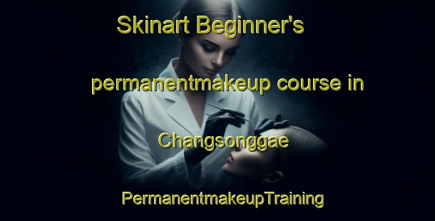 Skinart Beginner's permanentmakeup course in Changsonggae | PermanentmakeupTraining | PermanentmakeupClasses | SkinartTraining-Korea