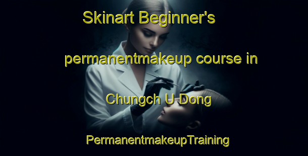 Skinart Beginner's permanentmakeup course in Chungch U Dong | PermanentmakeupTraining | PermanentmakeupClasses | SkinartTraining-Korea
