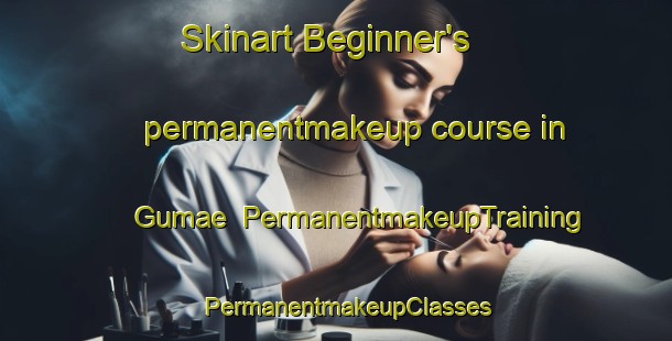 Skinart Beginner's permanentmakeup course in Gumae | PermanentmakeupTraining | PermanentmakeupClasses | SkinartTraining-Korea