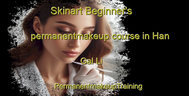 Skinart Beginner's permanentmakeup course in Han Gal Li | #PermanentmakeupTraining #PermanentmakeupClasses #SkinartTraining-Korea