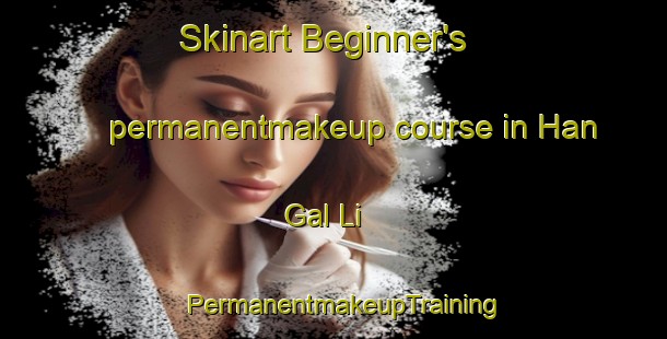 Skinart Beginner's permanentmakeup course in Han Gal Li | PermanentmakeupTraining | PermanentmakeupClasses | SkinartTraining-Korea