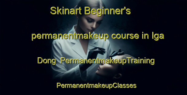 Skinart Beginner's permanentmakeup course in Iga Dong | PermanentmakeupTraining | PermanentmakeupClasses | SkinartTraining-Korea