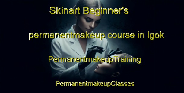 Skinart Beginner's permanentmakeup course in Igok | PermanentmakeupTraining | PermanentmakeupClasses | SkinartTraining-Korea