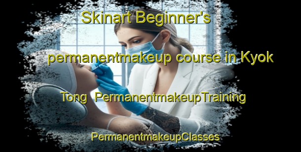 Skinart Beginner's permanentmakeup course in Kyok Tong | PermanentmakeupTraining | PermanentmakeupClasses | SkinartTraining-Korea