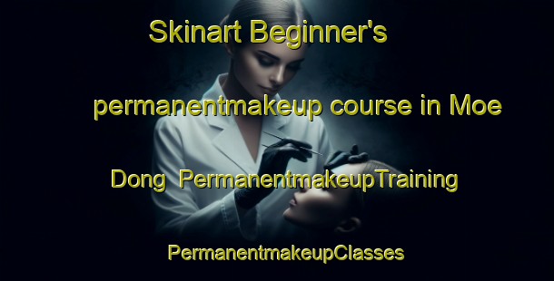 Skinart Beginner's permanentmakeup course in Moe Dong | PermanentmakeupTraining | PermanentmakeupClasses | SkinartTraining-Korea