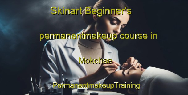 Skinart Beginner's permanentmakeup course in Mokchae | PermanentmakeupTraining | PermanentmakeupClasses | SkinartTraining-Korea