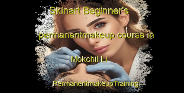 Skinart Beginner's permanentmakeup course in Mokchil Li | #PermanentmakeupTraining #PermanentmakeupClasses #SkinartTraining-Korea