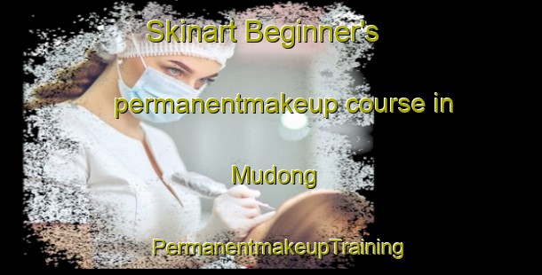 Skinart Beginner's permanentmakeup course in Mudong | PermanentmakeupTraining | PermanentmakeupClasses | SkinartTraining-Korea