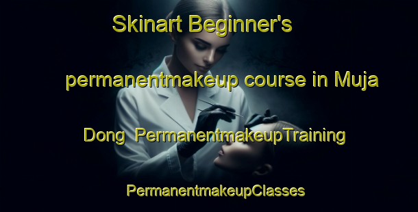 Skinart Beginner's permanentmakeup course in Muja Dong | PermanentmakeupTraining | PermanentmakeupClasses | SkinartTraining-Korea