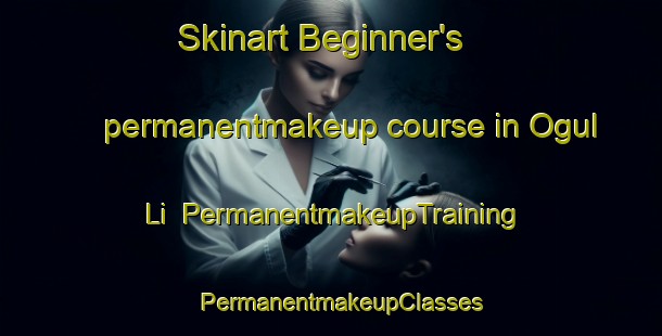 Skinart Beginner's permanentmakeup course in Ogul Li | PermanentmakeupTraining | PermanentmakeupClasses | SkinartTraining-Korea