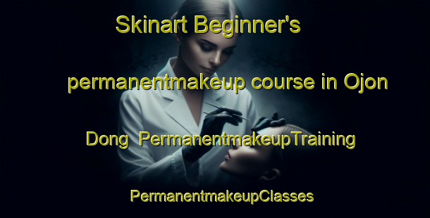 Skinart Beginner's permanentmakeup course in Ojon Dong | PermanentmakeupTraining | PermanentmakeupClasses | SkinartTraining-Korea