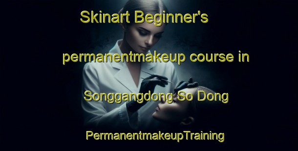 Skinart Beginner's permanentmakeup course in Songgangdong So Dong | #PermanentmakeupTraining #PermanentmakeupClasses #SkinartTraining-Korea