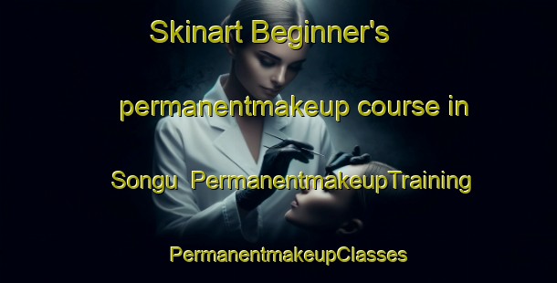 Skinart Beginner's permanentmakeup course in Songu | PermanentmakeupTraining | PermanentmakeupClasses | SkinartTraining-Korea