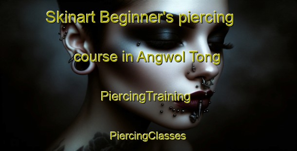 Skinart Beginner's piercing course in Angwol Tong | #PiercingTraining #PiercingClasses #SkinartTraining-Korea