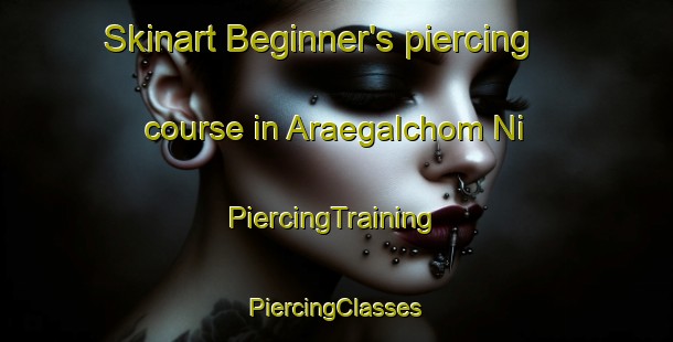 Skinart Beginner's piercing course in Araegalchom Ni | #PiercingTraining #PiercingClasses #SkinartTraining-Korea