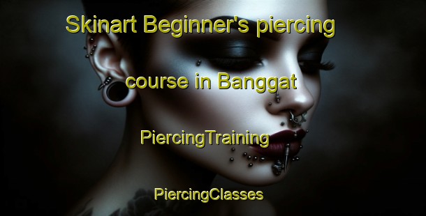 Skinart Beginner's piercing course in Banggat | PiercingTraining | PiercingClasses | SkinartTraining-Korea