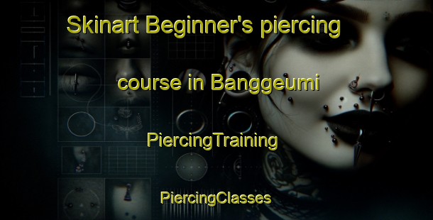 Skinart Beginner's piercing course in Banggeumi | #PiercingTraining #PiercingClasses #SkinartTraining-Korea