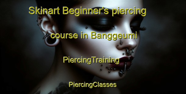 Skinart Beginner's piercing course in Banggeumi | #PiercingTraining #PiercingClasses #SkinartTraining-Korea