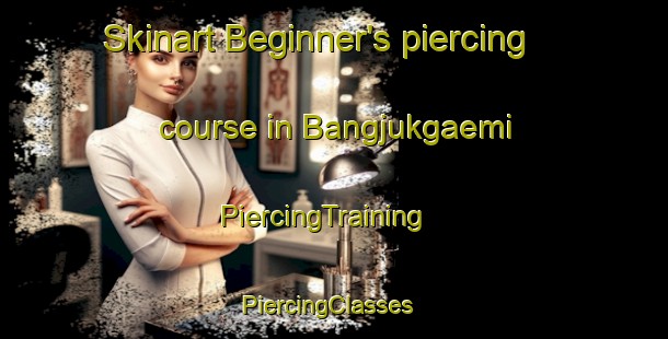 Skinart Beginner's piercing course in Bangjukgaemi | PiercingTraining | PiercingClasses | SkinartTraining-Korea