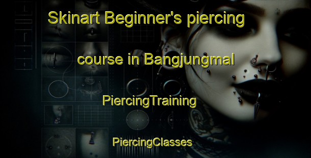 Skinart Beginner's piercing course in Bangjungmal | PiercingTraining | PiercingClasses | SkinartTraining-Korea