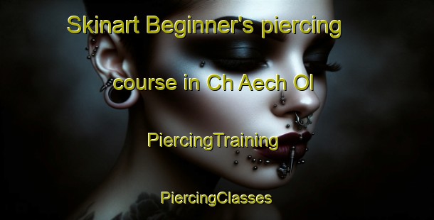 Skinart Beginner's piercing course in Ch Aech Ol | #PiercingTraining #PiercingClasses #SkinartTraining-Korea