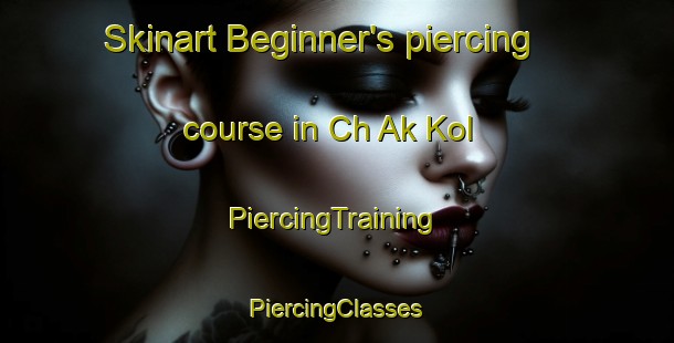 Skinart Beginner's piercing course in Ch Ak Kol | #PiercingTraining #PiercingClasses #SkinartTraining-Korea