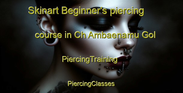 Skinart Beginner's piercing course in Ch Ambaenamu Gol | #PiercingTraining #PiercingClasses #SkinartTraining-Korea