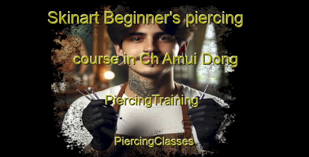 Skinart Beginner's piercing course in Ch Amui Dong | #PiercingTraining #PiercingClasses #SkinartTraining-Korea