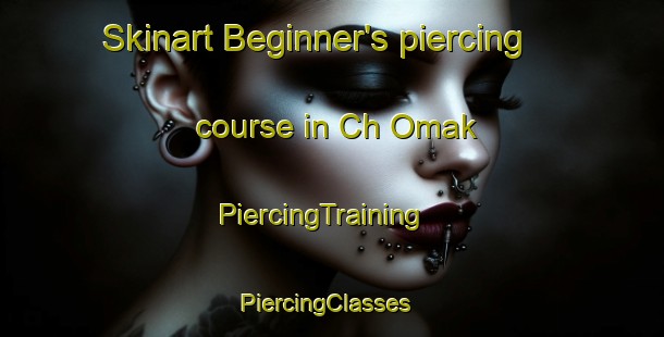 Skinart Beginner's piercing course in Ch Omak | PiercingTraining | PiercingClasses | SkinartTraining-Korea