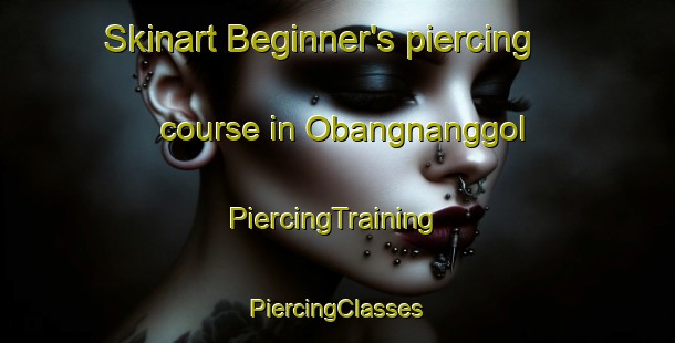 Skinart Beginner's piercing course in Obangnanggol | #PiercingTraining #PiercingClasses #SkinartTraining-Korea