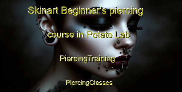 Skinart Beginner's piercing course in Potato Lab | PiercingTraining | PiercingClasses | SkinartTraining-Korea
