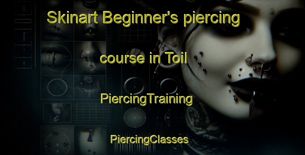 Skinart Beginner's piercing course in Toil | PiercingTraining | PiercingClasses | SkinartTraining-Korea