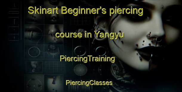 Skinart Beginner's piercing course in Yangyu | PiercingTraining | PiercingClasses | SkinartTraining-Korea