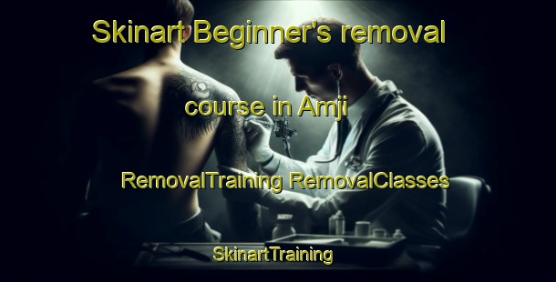 Skinart Beginner's removal course in Amji | #RemovalTraining #RemovalClasses #SkinartTraining-Korea