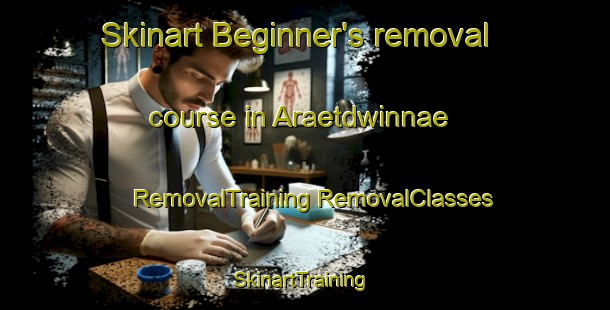 Skinart Beginner's removal course in Araetdwinnae | #RemovalTraining #RemovalClasses #SkinartTraining-Korea