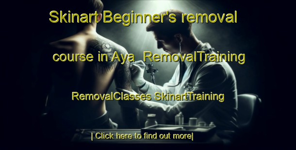 Skinart Beginner's removal course in Aya | #RemovalTraining #RemovalClasses #SkinartTraining-Korea