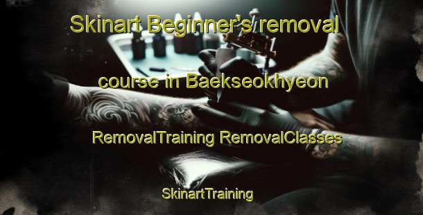 Skinart Beginner's removal course in Baekseokhyeon | #RemovalTraining #RemovalClasses #SkinartTraining-Korea