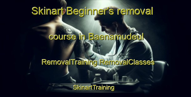 Skinart Beginner's removal course in Baenamudeul | #RemovalTraining #RemovalClasses #SkinartTraining-Korea