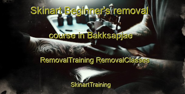 Skinart Beginner's removal course in Bakksapjae | #RemovalTraining #RemovalClasses #SkinartTraining-Korea