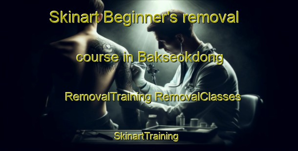 Skinart Beginner's removal course in Bakseokdong | #RemovalTraining #RemovalClasses #SkinartTraining-Korea