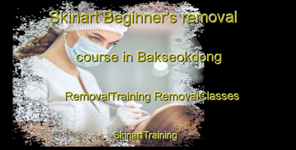 Skinart Beginner's removal course in Bakseokdong | #RemovalTraining #RemovalClasses #SkinartTraining-Korea