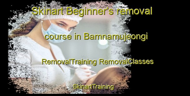 Skinart Beginner's removal course in Bamnamujeongi | #RemovalTraining #RemovalClasses #SkinartTraining-Korea