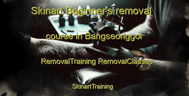 Skinart Beginner's removal course in Bangseonggol | #RemovalTraining #RemovalClasses #SkinartTraining-Korea