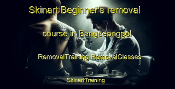 Skinart Beginner's removal course in Bangseonggol | #RemovalTraining #RemovalClasses #SkinartTraining-Korea