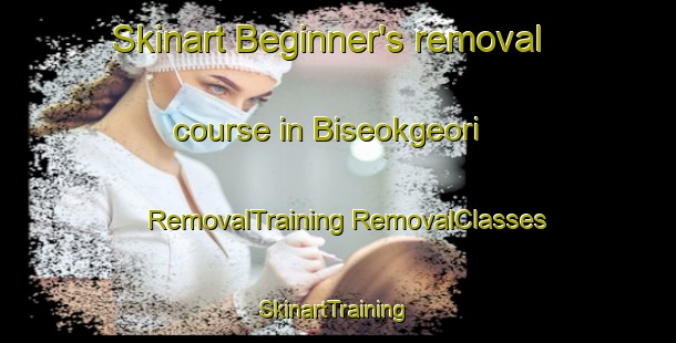 Skinart Beginner's removal course in Biseokgeori | #RemovalTraining #RemovalClasses #SkinartTraining-Korea