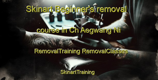 Skinart Beginner's removal course in Ch Aegwang Ni | #RemovalTraining #RemovalClasses #SkinartTraining-Korea